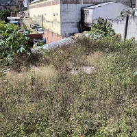 Venda de Casa em Rosário em São Thomé das Letras-MG