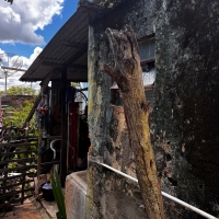 Venda de Casa em Rosário em São Thomé das Letras-MG