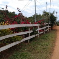 Venda de Casa em Rural  Sobradinho de Minas em São Thomé das Letras-MG