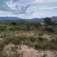 Chacara A Venda Em São Thomé Das Letras no Rural Caí