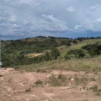 Chacara A Venda Em São Thomé Das Letras no Rural Caí