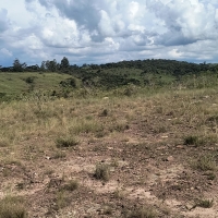 Chacara A Venda Em São Thomé Das Letras no Rural Caí