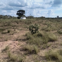 Chacara A Venda Em São Thomé Das Letras no Rural Caí