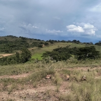 Chacara A Venda Em São Thomé Das Letras no Rural Caí