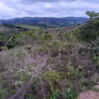 Chacara A Venda Em São Thomé Das Letras no Rural Caí