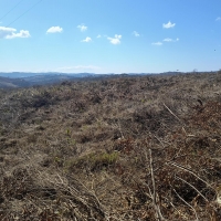 Venda de Chacara em Rural Caí em São Thomé das Letras-MG