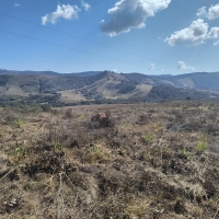 Venda de Chacara em Rural Caí em São Thomé das Letras-MG