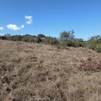 Venda de Chacara em Rural Caí em São Thomé das Letras-MG