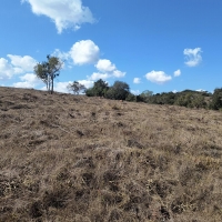 Venda de Chacara em Rural Caí em São Thomé das Letras-MG