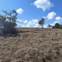 Venda de Chacara em Rural Caí em São Thomé das Letras-MG