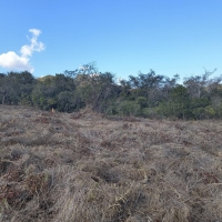 Venda de Chacara em Rural Caí em São Thomé das Letras-MG