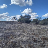 Venda de Chacara em Rural Caí em São Thomé das Letras-MG