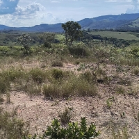 Venda de Chacara em Rural Caí em São Thomé das Letras-MG