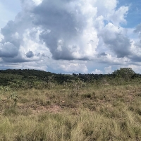 Venda de Chacara em Rural Caí em São Thomé das Letras-MG