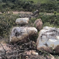 Venda de Chacara em Rural Caí em São Thomé das Letras-MG