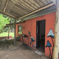 Chacara A Venda Em São Thomé Das Letras no Rural Canta Galo