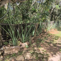 Chacara A Venda Em São Thomé Das Letras no Rural Canta Galo