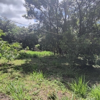 Chacara A Venda Em São Thomé Das Letras no Rural Canta Galo