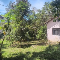 Chacara A Venda Em São Thomé Das Letras no Rural Canta Galo