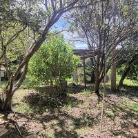 Venda de Chacara em Rural Canta Galo em São Thomé das Letras-MG