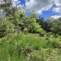 Venda de Chacara em Rural Canta Galo em São Thomé das Letras-MG