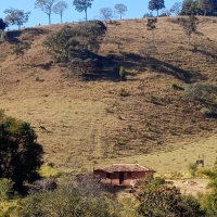 Venda de Chacara em Rural Chapada em São Thomé das Letras-MG