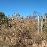 Venda de Chacara em Rural Crioulos em São Thomé das Letras-MG