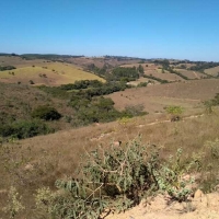 Venda de Chacara em Rural Crioulos em São Thomé das Letras-MG