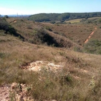 Venda de Chacara em Rural Crioulos em São Thomé das Letras-MG