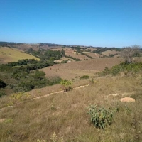 Venda de Chacara em Rural Crioulos em São Thomé das Letras-MG