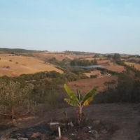 Venda de Chacara em Rural Crioulos em São Thomé das Letras-MG