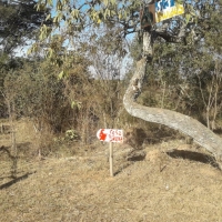 Venda de Chacara em Rural Crioulos em São Thomé das Letras-MG