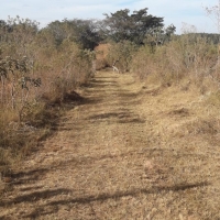 Venda de Chacara em Rural Crioulos em São Thomé das Letras-MG