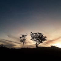 Venda de Chacara em Rural Crioulos em São Thomé das Letras-MG