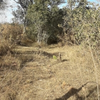 Venda de Chacara em Rural Crioulos em São Thomé das Letras-MG