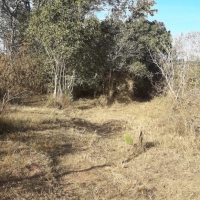 Venda de Chacara em Rural Crioulos em São Thomé das Letras-MG