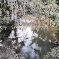 Fazenda A Venda Em São Thomé Das Letras no Rural Crioulos