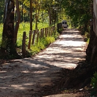 Venda de Pousada em Rural Crioulos em São Thomé das Letras-MG