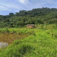 Sítio A Venda Em Conceição Do Rio Verde no Rural Cacimbas