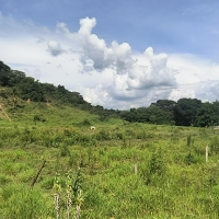 Sítio A Venda Em Conceição Do Rio Verde no Rural Cacimbas