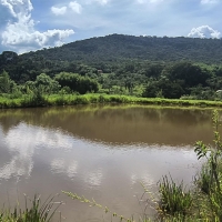 Venda de Sítio em Rural Cacimbas em Conceição do Rio Verde-MG