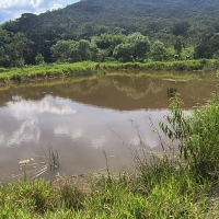 Venda de Sítio em Rural Cacimbas em Conceição do Rio Verde-MG