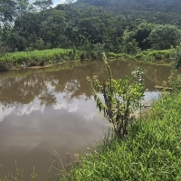 Venda de Sítio em Rural Cacimbas em Conceição do Rio Verde-MG
