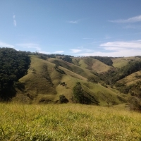 Venda de Sítio em Rural sitio dos vinte em Cruzília-MG