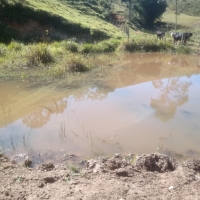 Venda de Sítio em Rural sitio dos vinte em Cruzília-MG