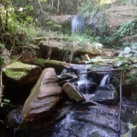 Venda de Sítio em Rural sitio dos vinte em Cruzília-MG