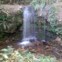 Venda de Sítio em Rural sitio dos vinte em Cruzília-MG