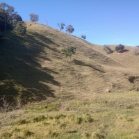 Venda de Sítio em Rural sitio dos vinte em Cruzília-MG