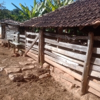 Venda de Sítio em Rural sitio dos vinte em Cruzília-MG
