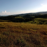 Venda de Sítio em Mato Dentro em São Thomé das Letras-MG